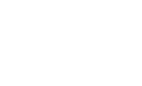 Logo I.C.O.N.